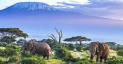 Las Montañas Más Altas En Tanzania