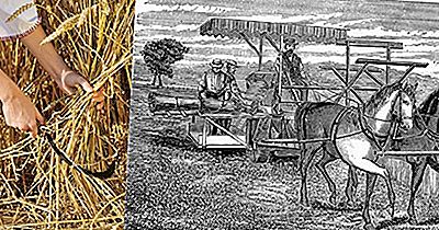 La Révolution Agricole Britannique A-T-Elle Conduit À La Révolution Industrielle?