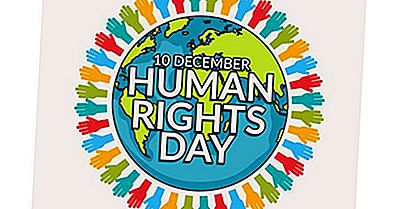 ¿Qué Y Cuándo Es El Día De Los Derechos Humanos?